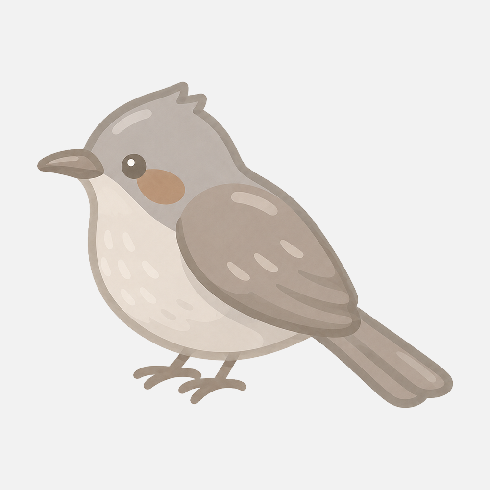 ヒヨドリのシンプルなイラスト素材