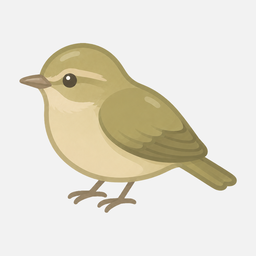 ウグイスのシンプルなイラスト素材